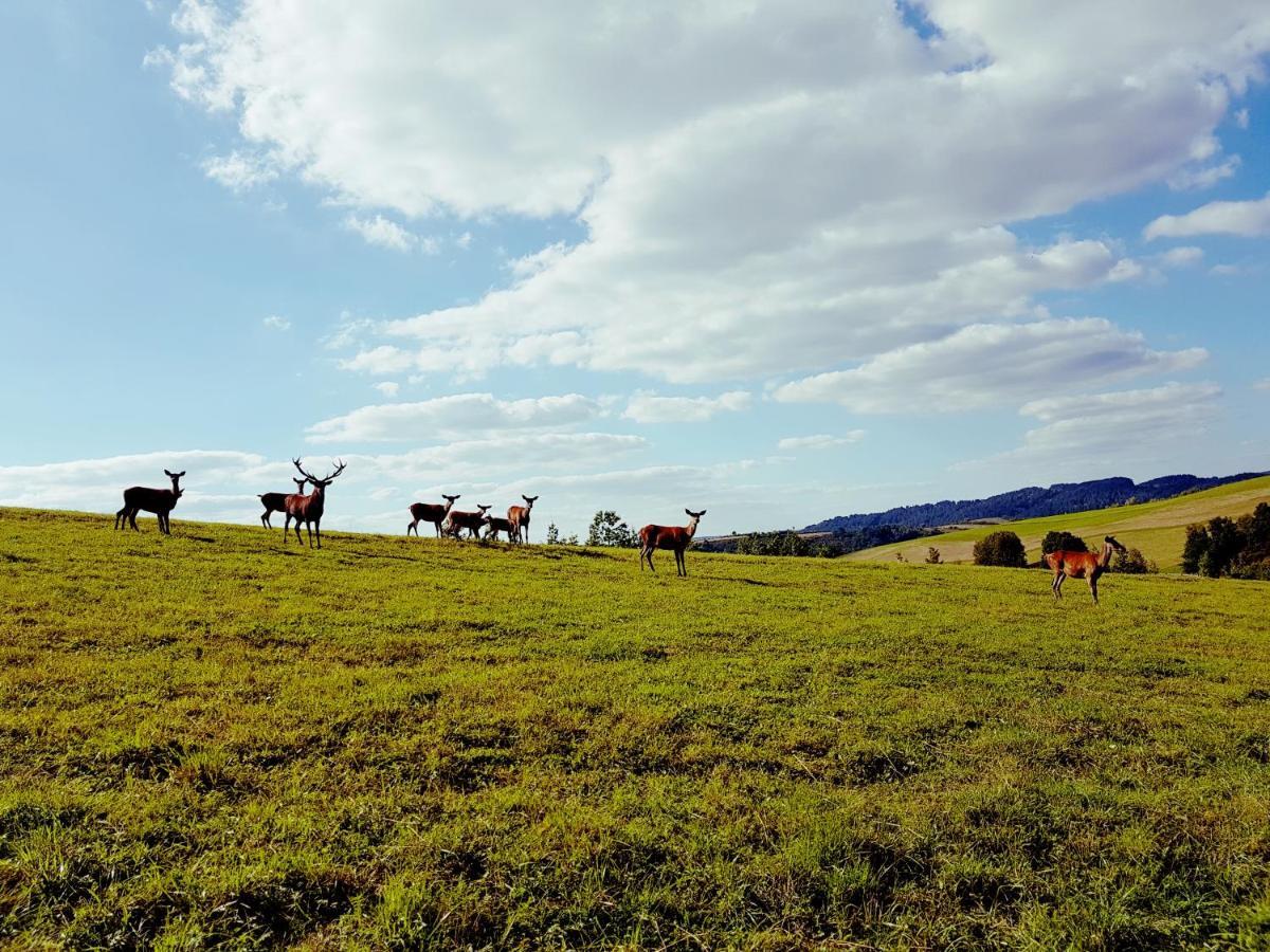 Domek Kozacki Лукове Экстерьер фото